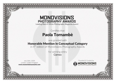 Monovisions_Certificate_copia.jpg