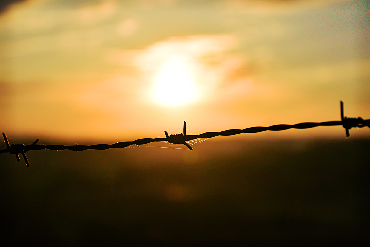 Sunset. Barbed wire / 16.04.2022 / Nikon D5600
© Michele Paoloni Photography 